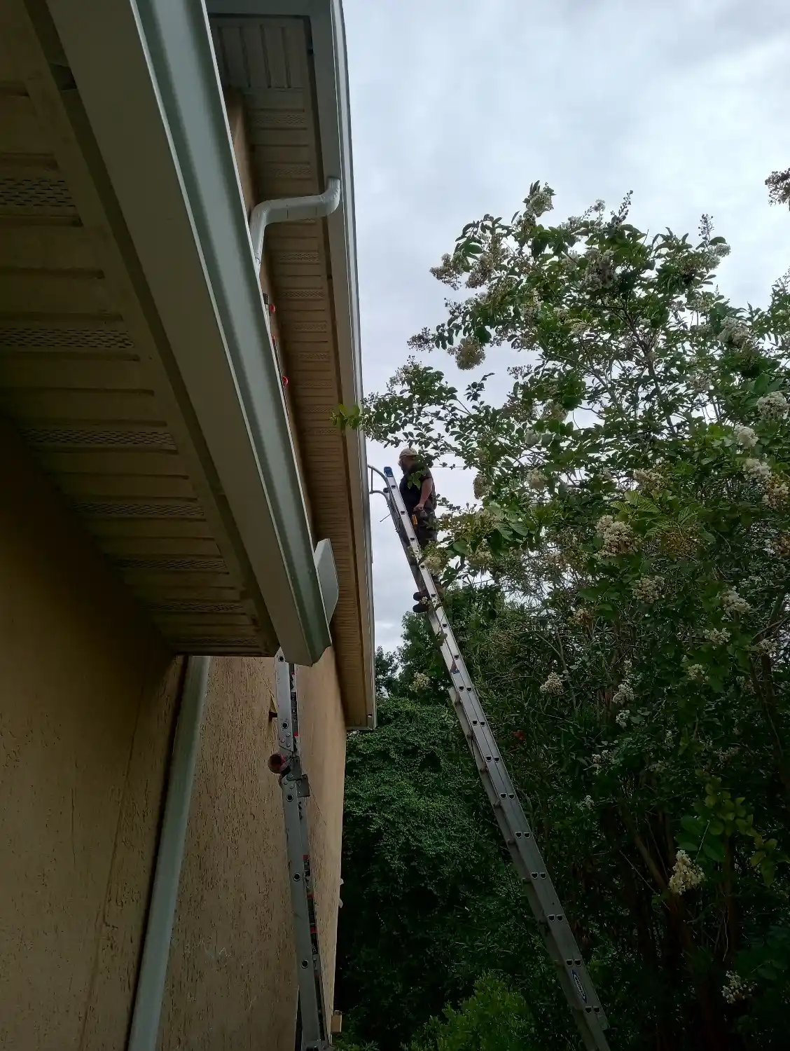 Can you replace a downspout yourself?