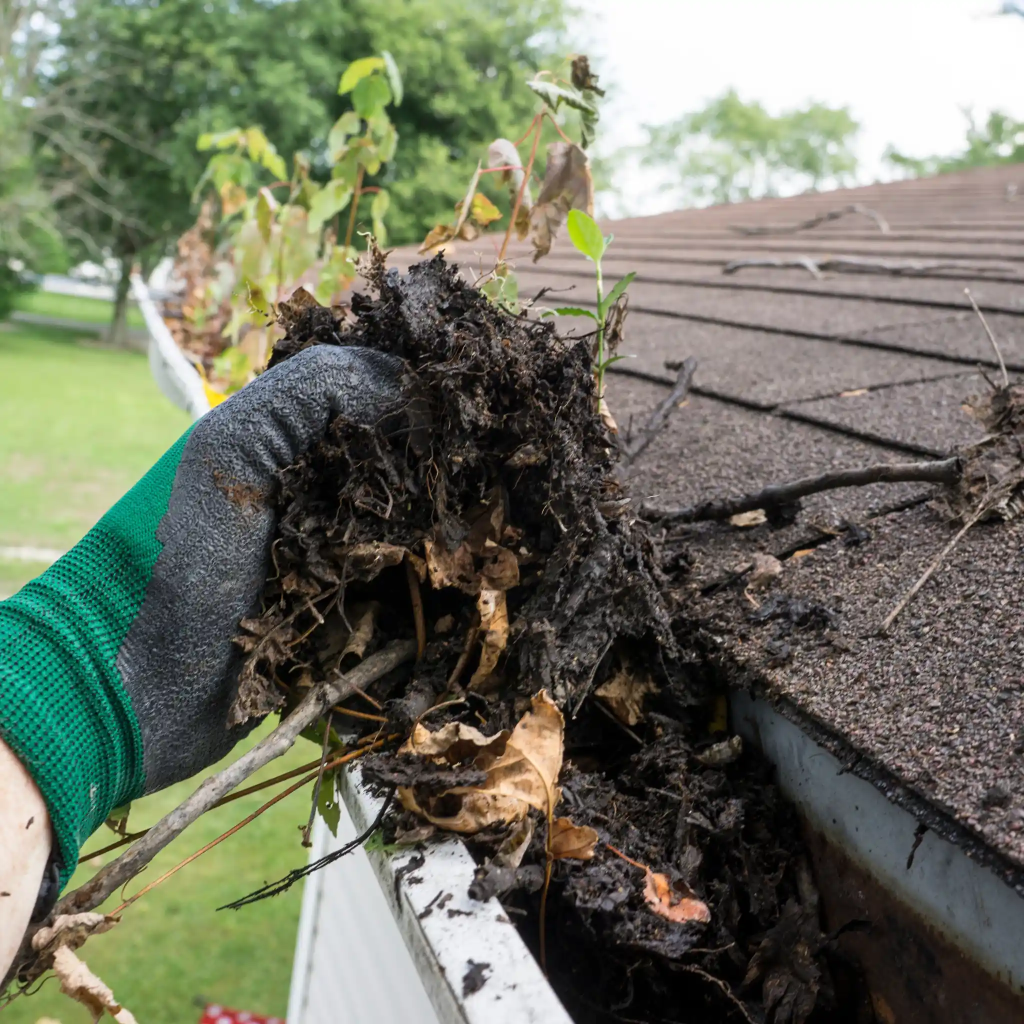 How often should gutters be cleaned?