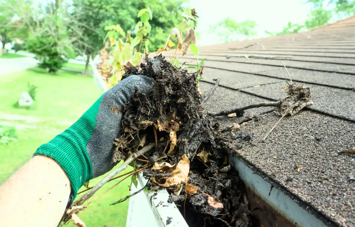 How often should gutters be cleaned?