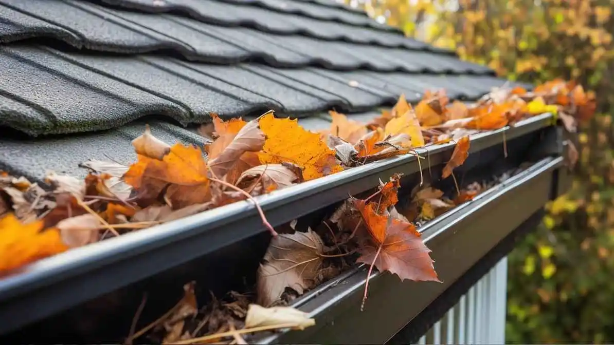 How often should gutters be cleaned?