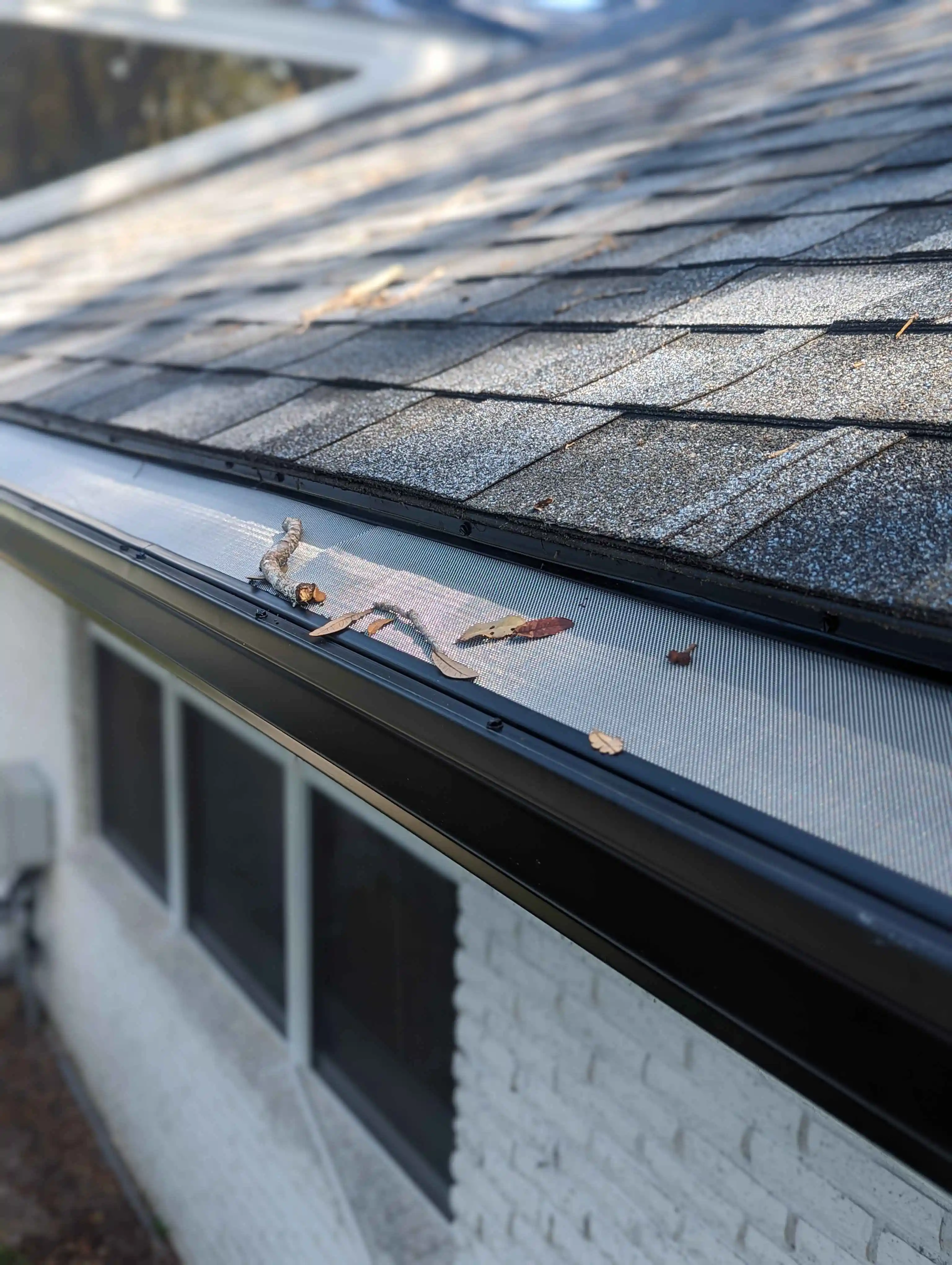 What is the average cost of gutter cleaning in my area?